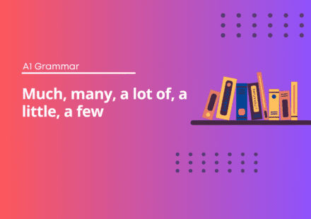 Much, many, a lot of, a little, a few - English Test Grammar