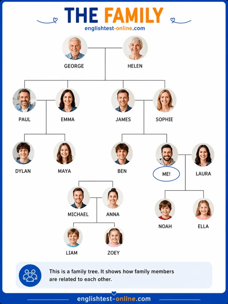 Family and relatives - A1 English Vocabulary-2